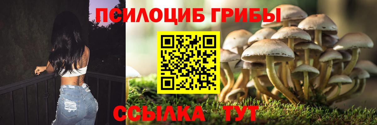 Волгоград  Галлюциногенные грибы ЛСД  Вход с VPN 