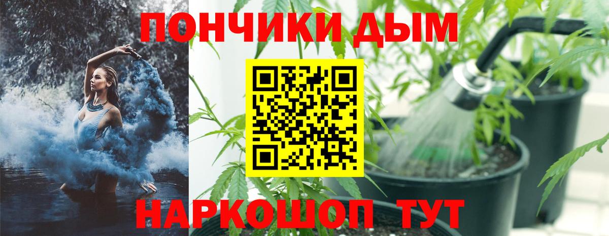 Марихуана сатива Волгоград